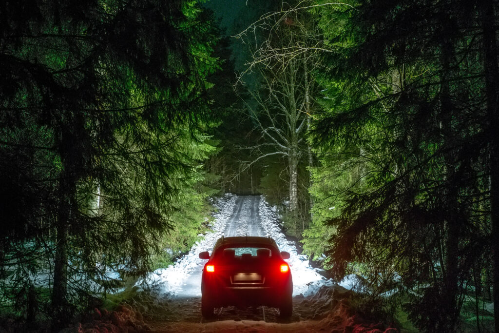 Winter Driving Lights of car and winter road in dark night forest, big pine trees covered snow